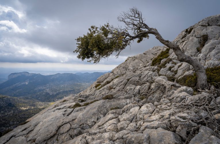Munich: The Importance of Resilience in Overcoming Trauma