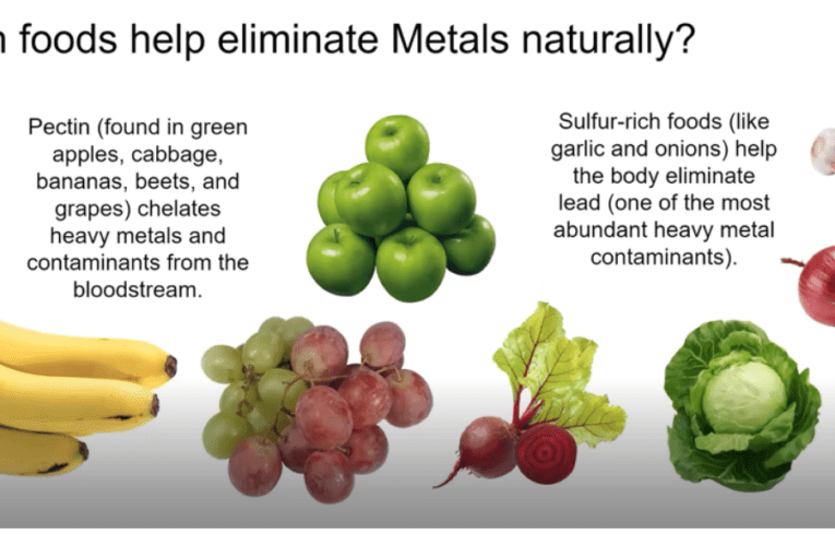 Eliminate Heavy Metals Naturally in Munich