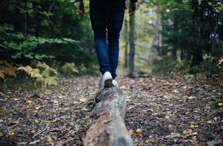Tips for Balancing your Hormones Naturally  in Munich